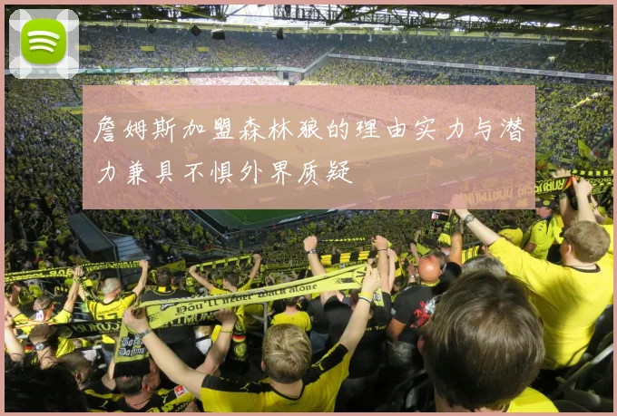 詹姆斯加盟森林狼的理由实力与潜力兼具不惧外界质疑